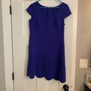Ann Taylor Dress